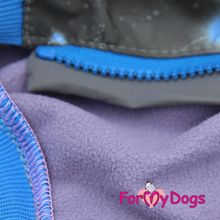 Комбинезон для таксы ForMyDogs из мембранной ткани для мальчика FW387-2016 M