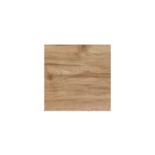 Шоколадное Дерево