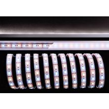 Deko-light Лента светодиодная Deko-Light 5050-60-12V-3000K+6500K-5m 840098 ID - 72246