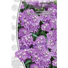 Иберис Лиловые огни цв п  0,25гр