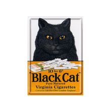 Black Cat