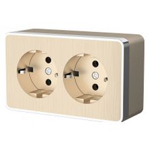 Werkel Розетка двойная с заземлением Werkel шампань рифленый W5072110 ID - 436181