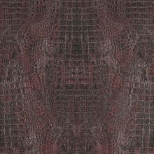 Обои BN 17953 Curious