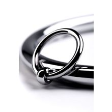 ToyFa Металлический ошейник с кольцом и ключиком (серебристый)