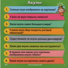 Brainbox Сундучок знаний Природа