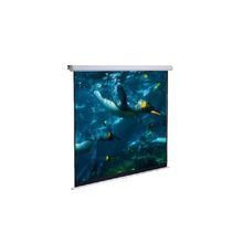 Проекционный экран настенный LScreen 127x127, MW