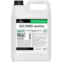 Pro-Brite ZAZ Condi Jasmine 5 л