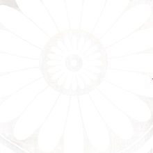 Обои Ugepa E70480