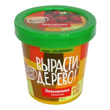 Набор для выращивания ВЫРАСТИ ДЕРЕВО! Земляника ананасная