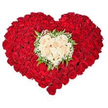 Сердце из 151 красной и белой розы