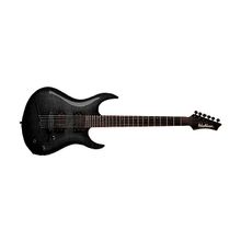 Washburn XMPRO2F