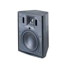 JBL Control 25 2-полосный всепогодный монитор со встроенным креплением, 75 Вт