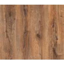 Tarkett Berlin Дуб Зальцбург