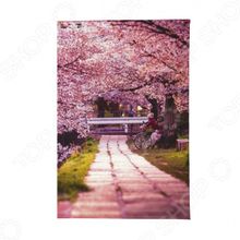 Mitya Veselkov «Цветущая аллея»