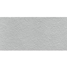 Imola Micron 2.0 Micron 2.0 M2.0 RB36GH керамогранит универсальный 300 мм*600 мм