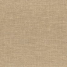 Виниловые обои Casamance Apaches 73810416