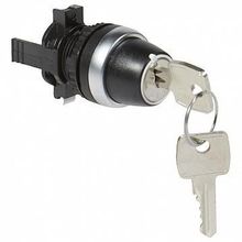 Переключатель с ключом Osmoz, 2 позиции | код. 023738 | Legrand