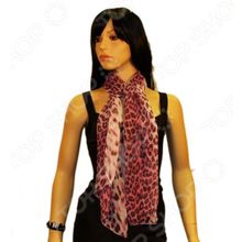 Bona Ventura SH-SH.G.36