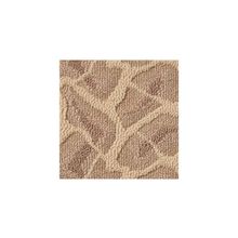 Amorim Apricot
