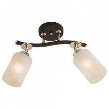 Citilux Спот Citilux Фортуна CL156121 ID - 384410