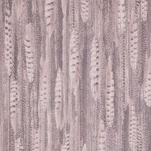 Обои BN 17961 Curious