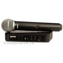 SHURE SHURE BLX24E PG58 M17