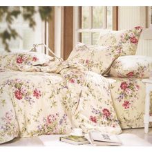 Постельное белье  Поплин Евро СайлиД А155-3