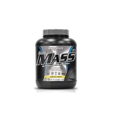 Dymatize Elite Mass Gainer 1500 гр (Гейнер - Белково углеводные смеси)