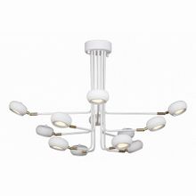 Favourite Ellisse 1748-12U