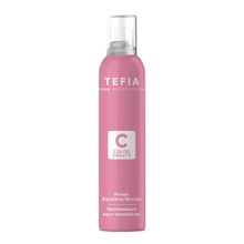 Мусс-эквалайзер для волос протеиновый Tefia Color Creats 200мл