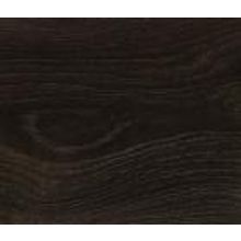 Дуб Санкт-Гален