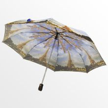 Зонт женский Ame Yoke Парижская осень