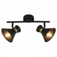 Arte Lamp Спот Arte Lamp Baltimore A1406AP-2BK ID - 414182