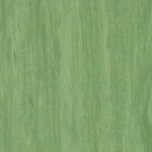 Tarkett Standart Plus Standart Dark Green 0921 2 м*23 м 2 мм