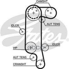 Ремень Грм Gates арт. 5565XS