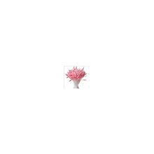 Тычинки двусторонние  для скрапбукинга розового цвета, 144 тычинки, Scrapberrys