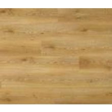 Дуб Золотистый