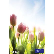Фреска Applico 300003