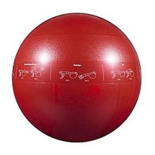 Мяч гимнастический надувной Go Fit GF-65 PRO