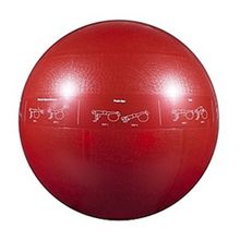 Мяч гимнастический надувной Go Fit GF-65 PRO