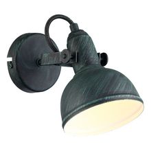 Спот Arte Lamp A5213AP-1BG MARTIN