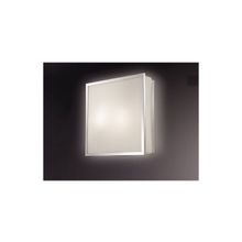 Настенно-потолочный светильник Odeon TELA 2537 1C