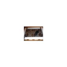 hp (fan kit 220v 10000 graphite) 257414-b21