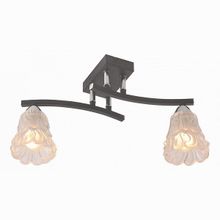 IDLamp 217 2PF-Blackchrome