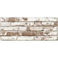 Sanchis Brique Old 20x50 см