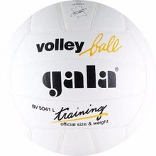 Мяч волейбольный Gala Training BV5041L White