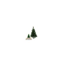 Triumph Tree Ель Лесная красавица  (Forest Frosted Pine) 155см арт. o-788040
