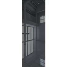  Двери ProfilDoors Модель 1AGN Стекло Зеркало Grey Цвет профиля Черный