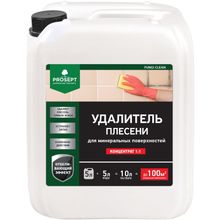 Просепт Fungi Clean 5 л