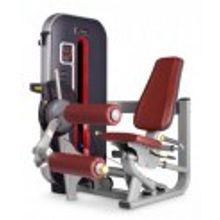 Bronze Gym MT-013